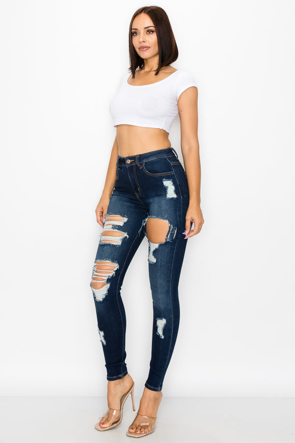 Sylvia - High Rise Hole Destructed Skinny